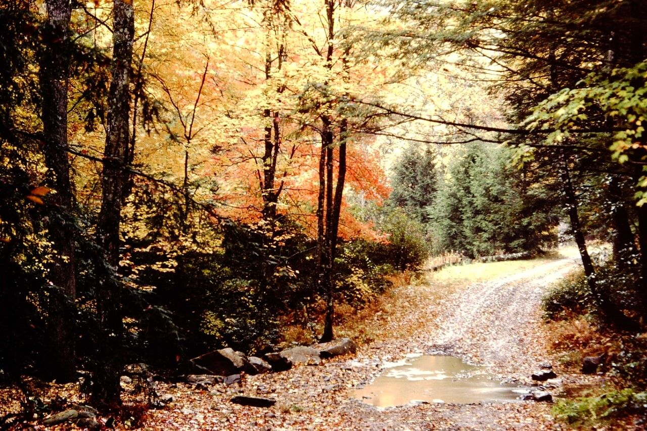 Autumn Breazeale.jpg